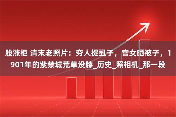 股涨柜 清末老照片：穷人捉虱子，宫女晒被子，1901年的紫禁城荒草没膝_历史_照相机_那一段