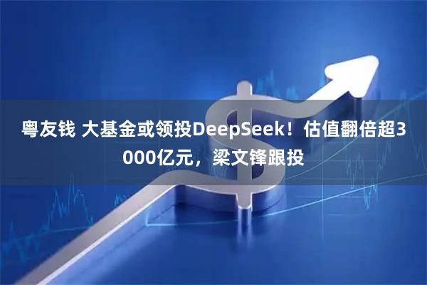 粤友钱 大基金或领投DeepSeek！估值翻倍超3000亿元，梁文锋跟投